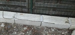 chenilles processionnaires en procession