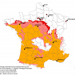 Source : inra.fr