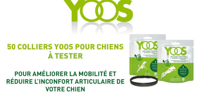 Devenez testeur des colliers YOOS pour chiens !