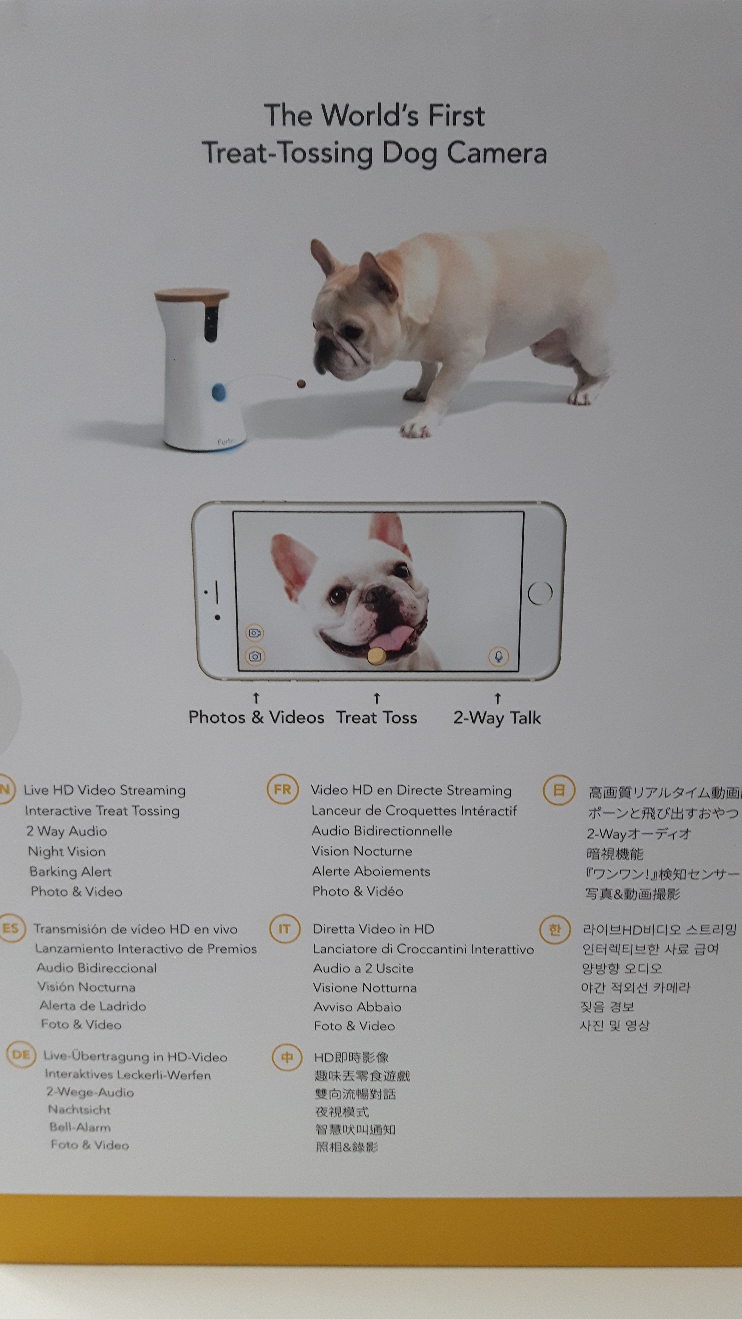 Furbo Dog Camera Avis : Meilleur accessoire pour votre chien ?
