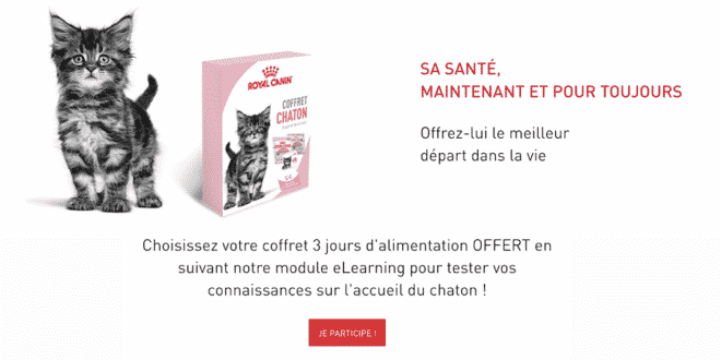 Votre coffret Royal Canin pour chatons offert sur wikichat.fr