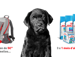 Jeu Chiots Royal Canin sur jeu.royalcanin.fr : comment gagner 3 mois de croquettes