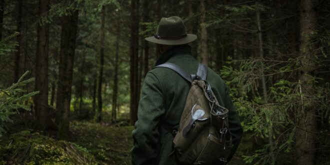 Pièges photographiques : quelle est l’utilité pour la chasse?