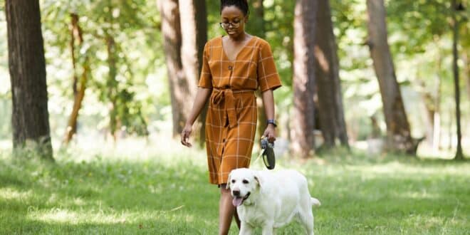 Une amende jusqu’à 750€ à partir du 15 avril si vous promenez votre chien sans laisse