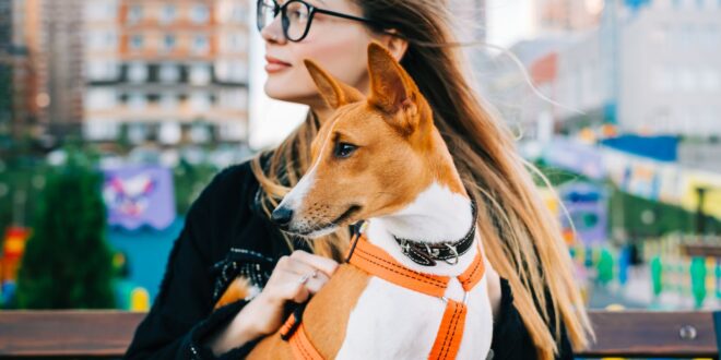 Lille prend la 1ere place du podium où il fait bon vivre avec son chien devant Nice et Bordeaux : découvrez pourquoi!