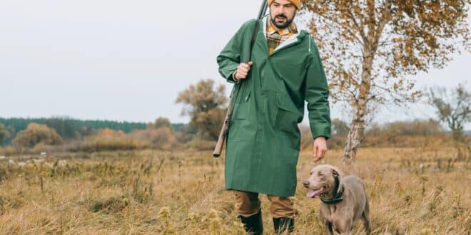 Passionné de chasse? 60 espèces chassables en France que vous devez connaitre pour respecter la législation